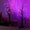 Purple, variant on 2 Pack Artificial Birch Tree Lights, 24 Warm White LEDs, Battery & USB Powered, Indoor/Outdoor Tabletop Lamp for Camping Office Bedroom, Ideal for Graduation Christmas, Cozy All-Season Gift Decor