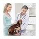 thumbnail image 3 of 10 Set Breeding Kit Artificial Insemination Dog Breeding Kit Insemination Breeder Kit for Small and, 3 of 5