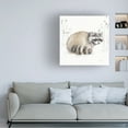 thumbnail image 2 of Trademark Fine Art 'Woodland Walk X Raccoon' Canvas Art by Lisa Audit, 2 of 4