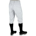 thumbnail image 2 of Triple Crown 2.0 KNICKER PINSTRIPE - WHITEBLACK - S, 2 of 2