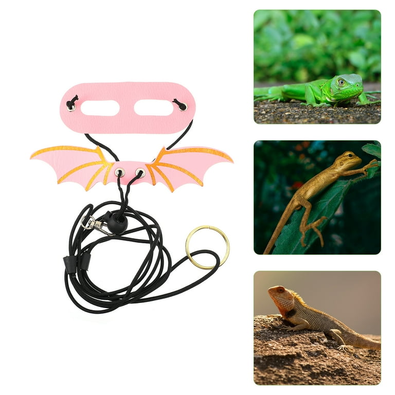 Leash for top leopard gecko