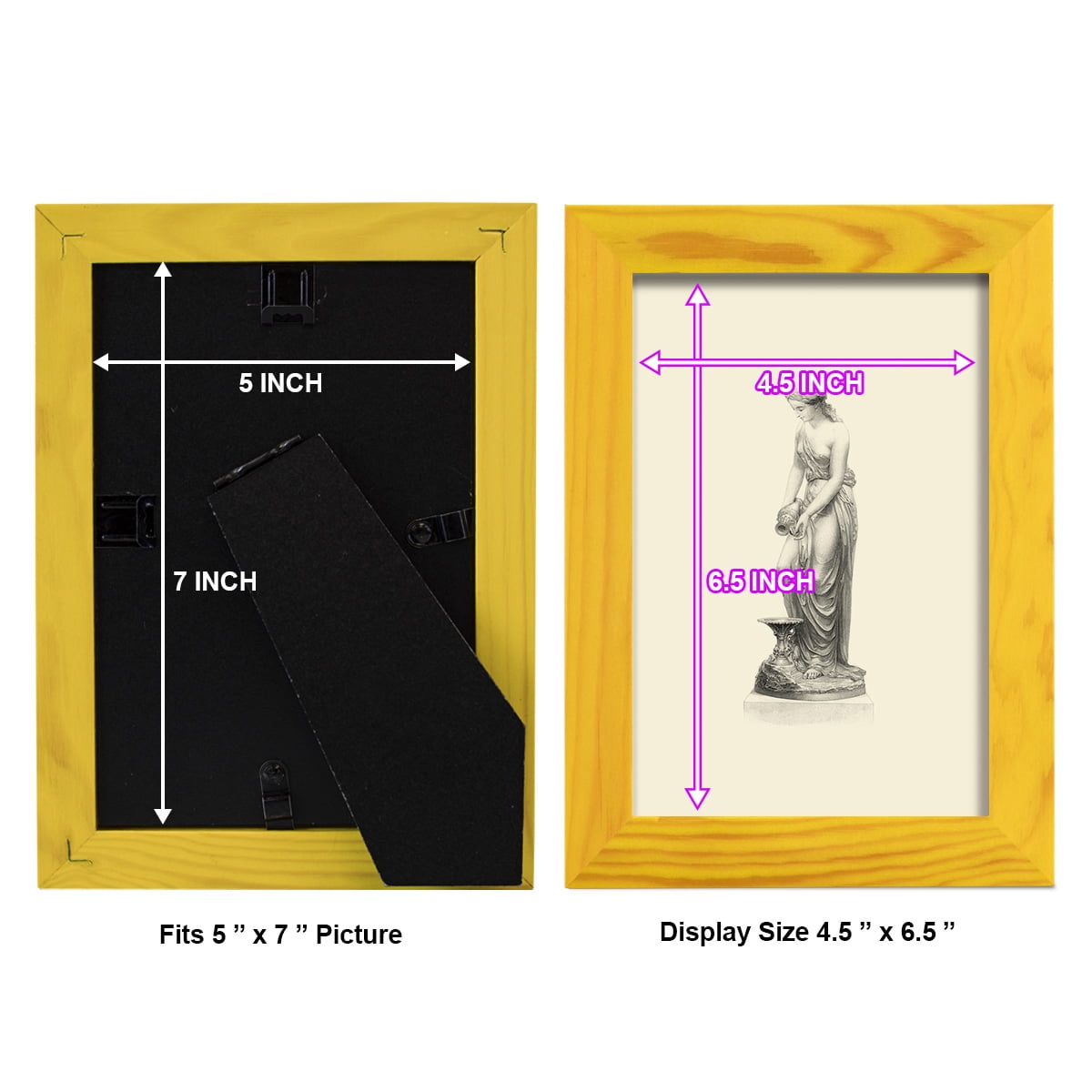Classical Statuary II -Framed Print w/glass-Sunflower Yellow
