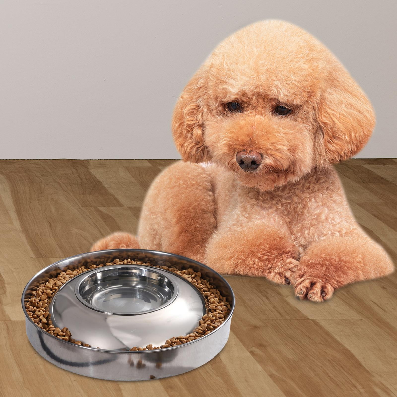 Dog Water and Food Bowl Set Cats Feeder Feeding Dish Water Drinking Bowl Stainless Steel Slow Feeder for Large Medium Small Dogs Other Pets Diameter 36cm