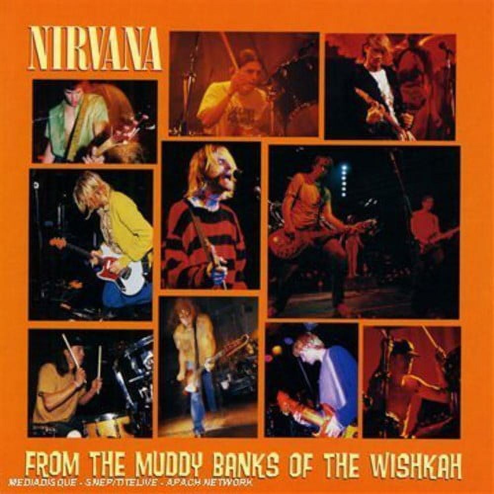 国内限定 ニルヴァーナ From The Muddy Banks LP レコード 1996 GEFFEN RECORDS NIRVANA FROM THE MUDDY BANKS OF THE WISHKAH LP