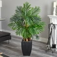 thumbnail image 3 of Nearly Natural 60" Kentia Palm Artificial Tree in Black Planter, 3 of 3