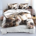 thumbnail image 1 of Gato Twin Funda Nórdica Kawaii Gatos Funda de Edredón Mascotas Juego de Cama Cats Lover, 1 of 6