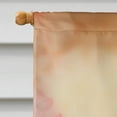 thumbnail image 3 of Cardinal House Flag 28 in x 40 in, 3 of 5