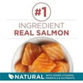 thumbnail image 3 of Purina ONE Dry Cat Food, Salmon & Rice Formula - 1.59 kg Bag, 3 of 5