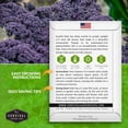 thumbnail image 2 of 5 Packs Scarlet Kale Seeds - Non-GMO Heirloom Biennial Full Sun Vegetable, 2 of 8