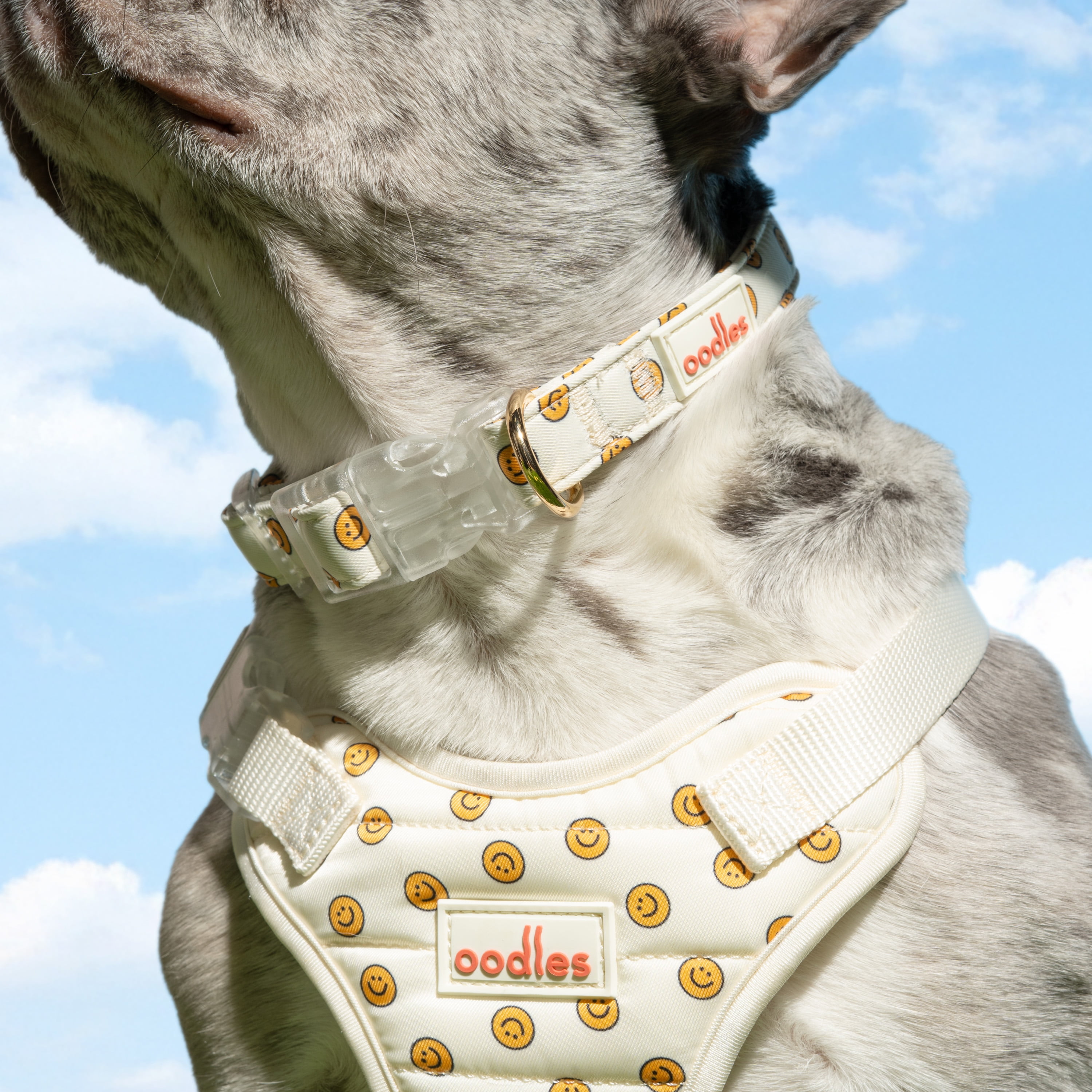 Oodles Tan Smiley Faces Adjustable Fashion Dog Collar, Small