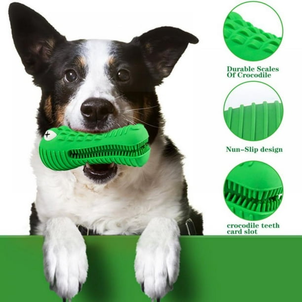 Yinrunx Dog Chew Toys Alligator Dog Rubber Molar Teeth Cleaning Stick Dog  Toothbrush Dogs Toys Doggy Toy for Chewers Puppy Oral Dental Care Pet  Training Cleaning Teeth Interactive Doggy Brushing Toy -