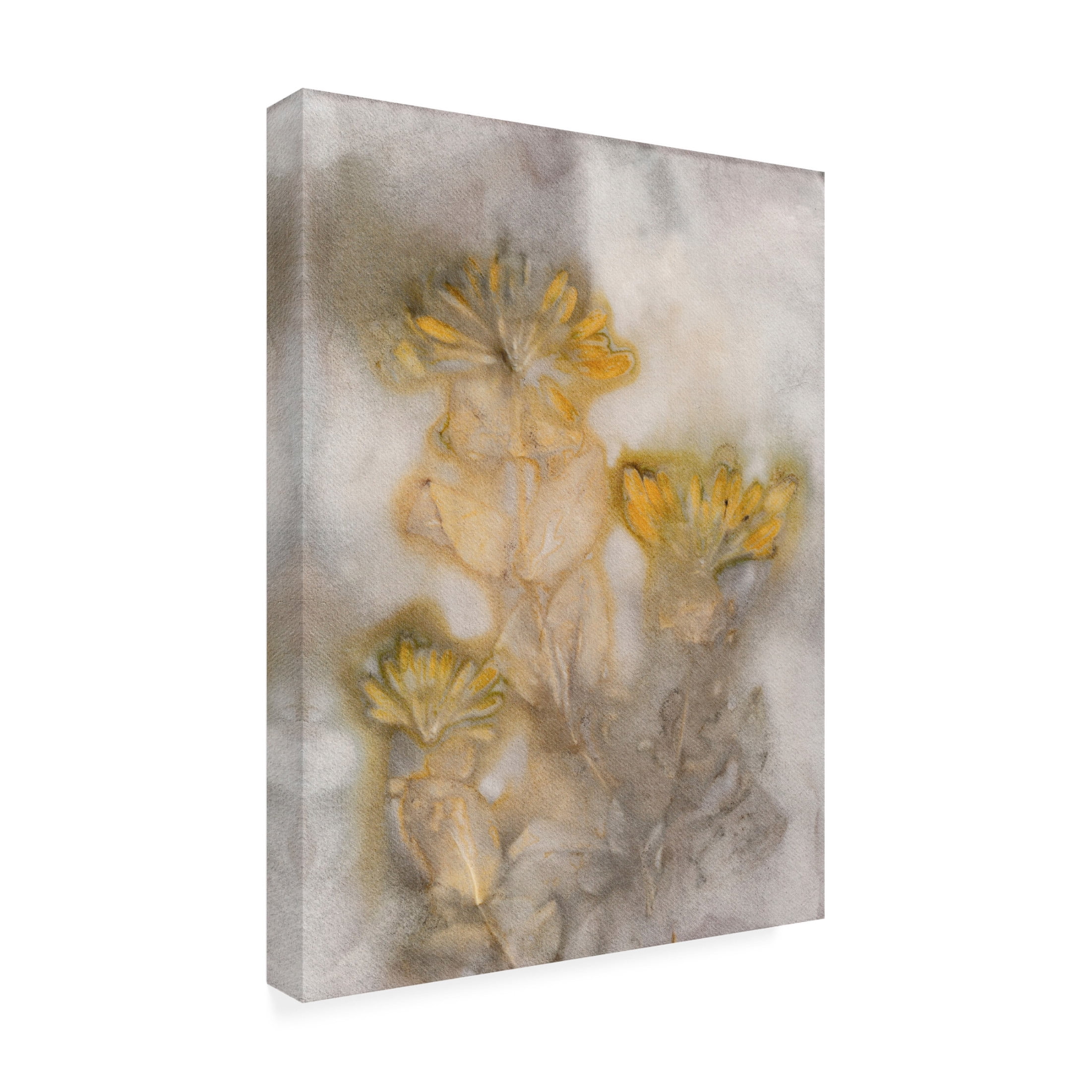 Canvas Wall Art - Pernille Folcarelli 'Honeysuckle Saffron' Wall Art for Living Room, Bedroom, or Office Décor by Trademark Fine Art - 35 x 47 Inches