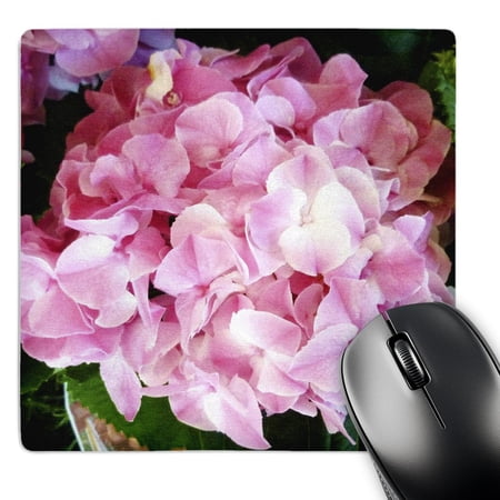 3dRose  Pink Hydrangea  MousePad price history on PriceWatchPro