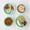 Rainforest, variant on Wheat Straw Plates and Bowls Sets - 8-Piece Unbreakable Dishwasher - Non Toxic BPA-Free Dinnerware - Floral