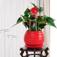 thumbnail image 1 of WEUVEB 4Ud Marco Soporte Para Plantas Verde Para Jardín Y Macetas Interiores, 1 of 6