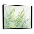 thumbnail image 2 of Designart "Green White peaceful Ferns IV" Abstract Botanicals Floater Framed Canvas Wall Art, 2 of 7