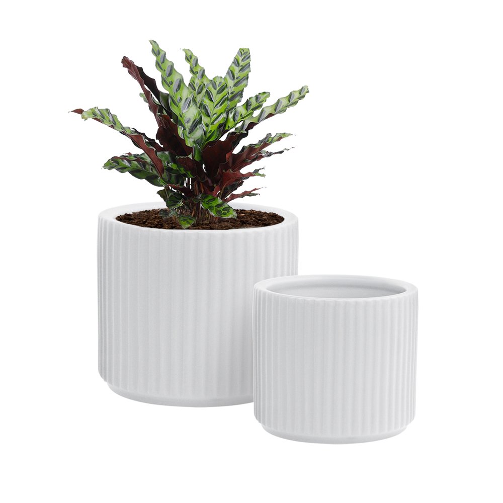 GrowLED Ceramic Pots for Plants with Drainage, Modern