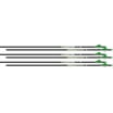 Flecha Easton Axis SPT de 5mm con pluma Bully 2 para caza (6 uds