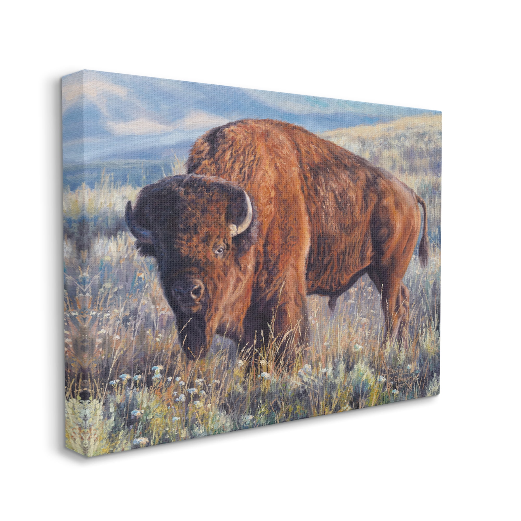 Stupell Industries Bison Grazing on Prairie Animals & Insects Photography Gallery Wrapped Canvas Print Wall Art, 48 x 36