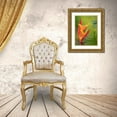 thumbnail image 3 of Merrill Images 19x24 Gold Ornate Wood Framed with Double Matting Museum Art Print Titled - Fiji-Taveuni Island False Bird Of Paradise Flower (Heliconia psittacorum), 3 of 4