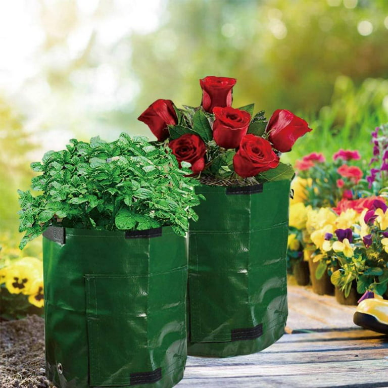 Futuwi 7 Gallon Plant Growing Bags for Potato-6 Packs, Garden Grow Pots for  Strawberry Tomato Carrot & Other Vegetable (Dark Green)