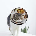 thumbnail image 1 of Collier de Récupération pour Chat et Chien Ajustable Cône de Guérison après Chirurgie pour Chaton, 1 of 7