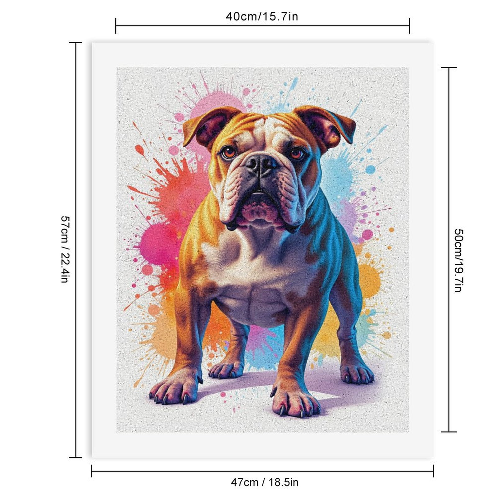 Paint by Numbers Kit for Adults, Bulldog Colorful Paint Splash Art Paint by Numbers, Easy Paint by Numbers Kit for Adults Beginner, DIY Adult Paint by Number Kits on Canvas, Home Decor