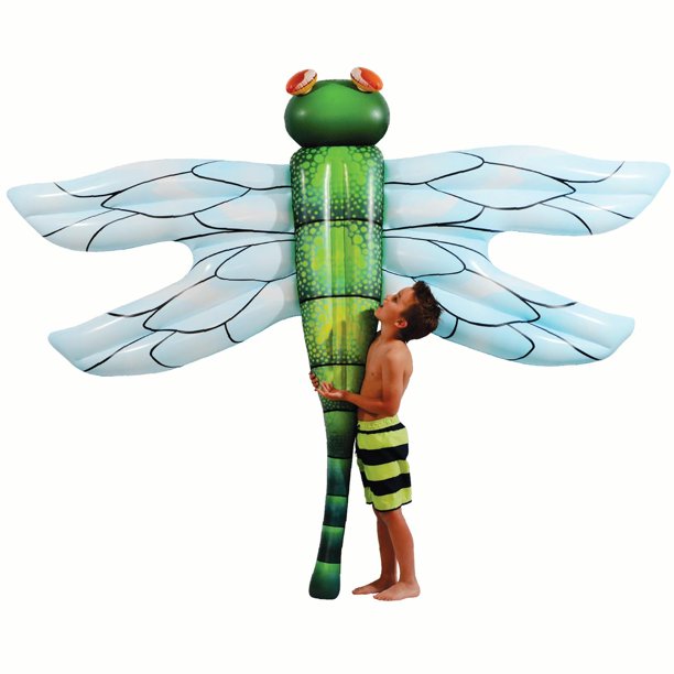 dragonfly pool float