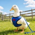 thumbnail image 6 of Breathable Poultry Chest Harness Leash Set Adjustable Mesh Chicken Duck Goose Walking Strap Outdoor Training Safety 2 Pack(S), 6 of 8