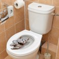 thumbnail image 3 of Cute Cat Sticker Toilet Sticker, 3 of 4