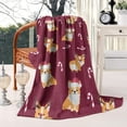 thumbnail image 2 of Christmas Corgi Blanket,Comfortable Soft Flannel Throw Blanket,All Season,Warm Lightweight Blankets for Sofa Bed Couch Living Room Chair,40"x50", 2 of 4