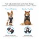 thumbnail image 5 of Arnes Para Perros De Raza Chica. Pechera Talla Extra Chica, 5 of 8