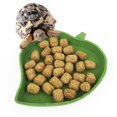 thumbnail image 4 of Greeniant Alimentación saludable para mascotas Cuenco de plástico duradero con cuenco para beber fácil de limpiar Cuenco de agua para Type3 NO3, 4 of 6