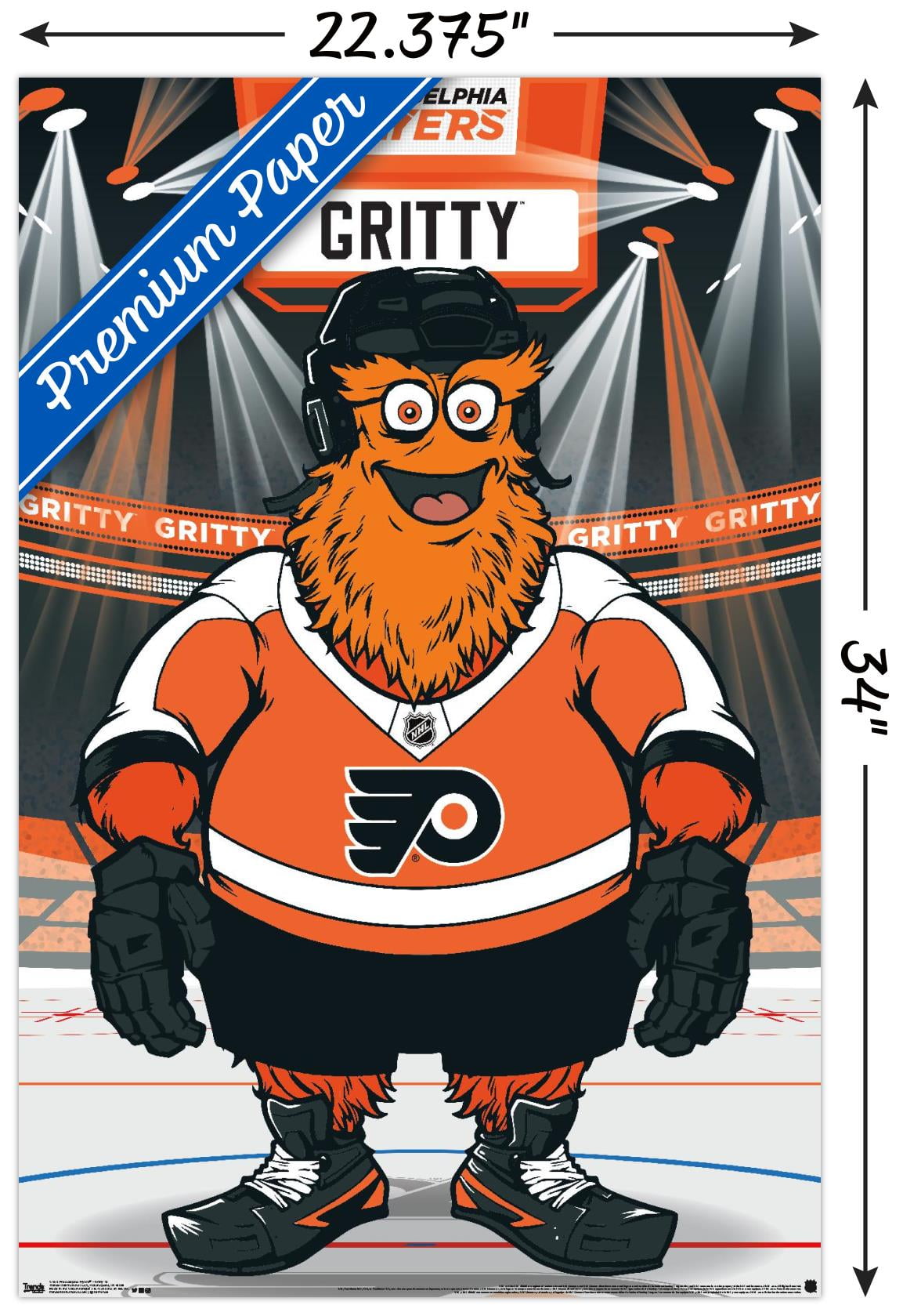 Philadelphia Flyers Cat Photo Print Wall Art Ice Hockey -  Norway