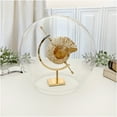 thumbnail image 2 of Plymor 7.5" x 8.5" Glass Display Dome Globe Cloche (no Base), 2 of 2