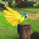 thumbnail image 1 of Simulación Estatuilla Aves falsas Animal Estatuilla sanía Estatua para Decoración del césped Decoración del , E Baoblaze Estatua de loro de simulación, 1 of 7