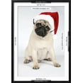 thumbnail image 3 of Fawn Pug Wearing Christmas Hat, Animals Framed Art Print Wall Art Sold by Art.Com, 3 of 6