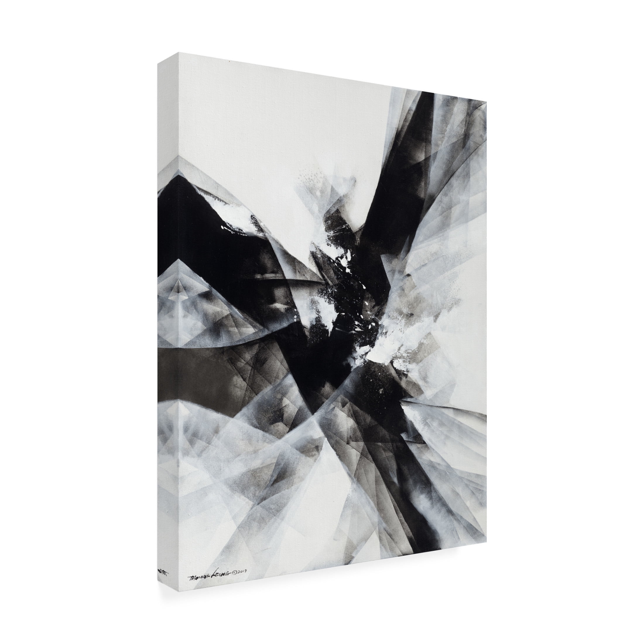Canvas Wall Art - Thomas Leung 'Crisscross' Wall Art for Living Room, Bedroom, or Office Décor by Trademark Fine Art - 14 x 19 Inches