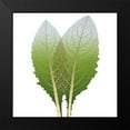thumbnail image 2 of Koetsier, Albert 15x15 Black Modern Framed Museum Art Print Titled - Golden Artichoke, 2 of 5