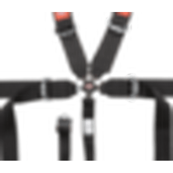 RaceQuip 741001RQP 5 Point Harness Sportsman Camlock SFI 16.1 Pull Down Adjust Bolt-On/Wrap Around Black