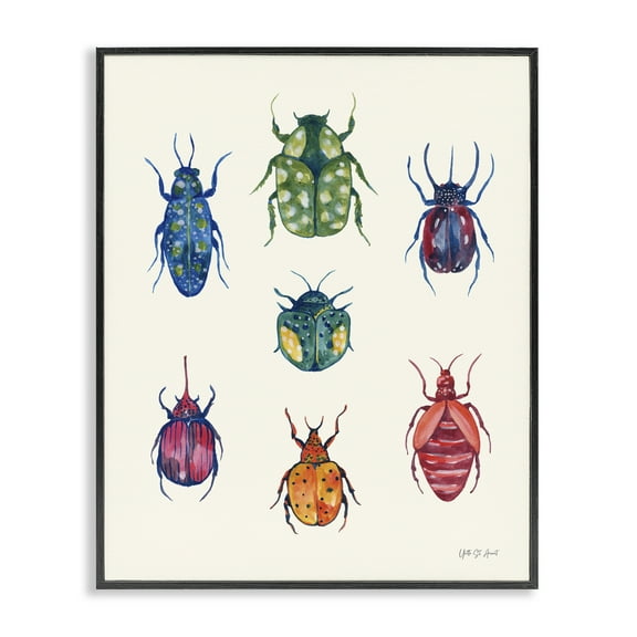 Stupell Industries Varied Beetle Chart Insects Painting Black Framed Art Print Wall Art, 11 x 14