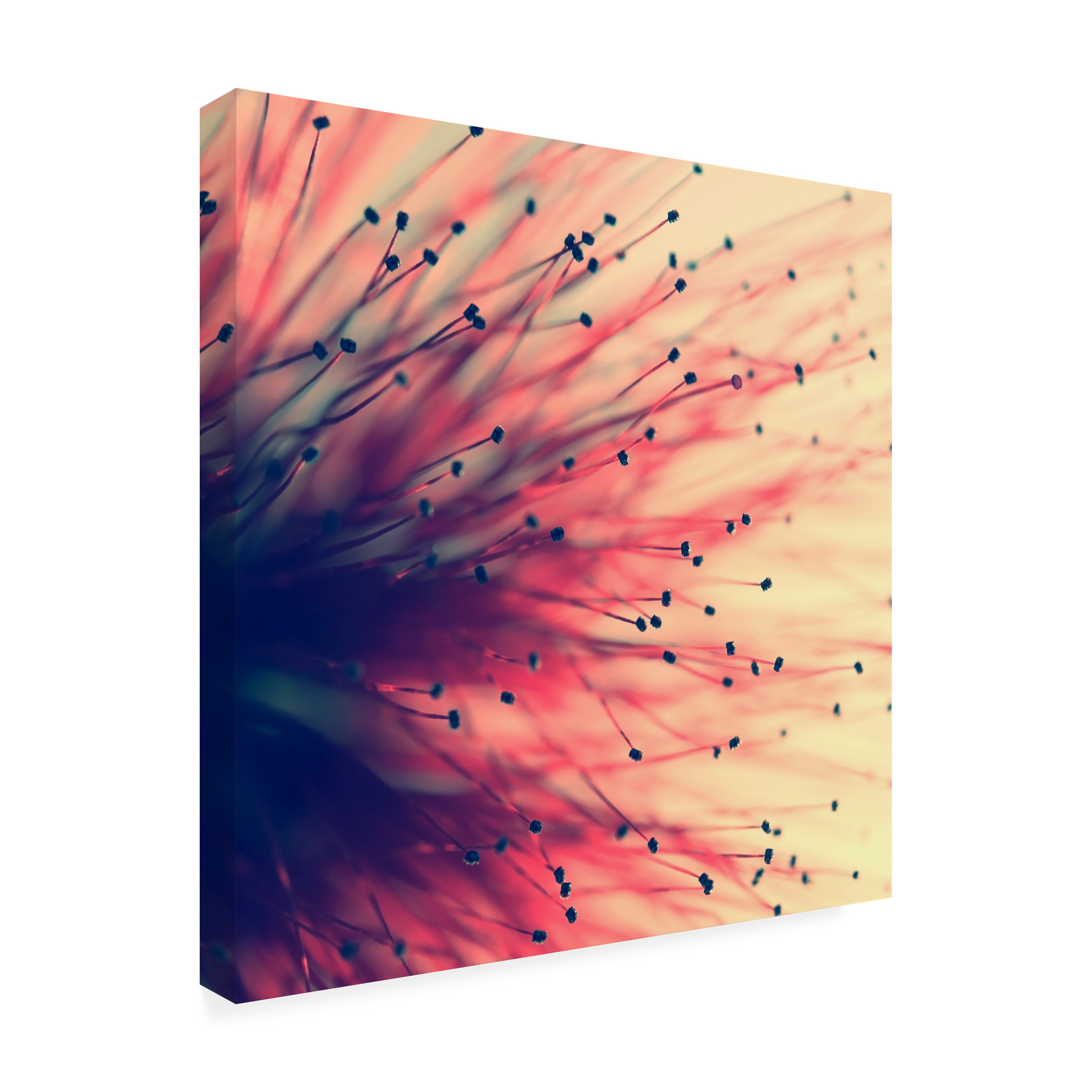 Trademark Fine Art "Into the Future" Canvas Art by Beata Czyzowska Young
