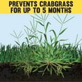 Expert Gardener Weed & Feed Plus Crabgrass Control, Lawn Fertilizer 18