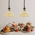 thumbnail image 4 of Shisuyan 1 Set Buffet Light Hanging Light Warmer Light Single-head Food Heating Lamp, 4 of 9