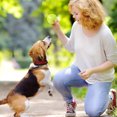 thumbnail image 5 of WD-Forest 2.4" Indestructible Squeaky Dog Chew Ball for Aggressive Chewers Interactive Dog Toys for Teething Relieving Anxiety Outdoor Rubber Balls for Large Medium Breeds, 5 of 5