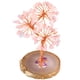 thumbnail image 2 of Árbol de dinero de cristal Sunnimix decoración de Piedras Preciosas Natural rosado, 2 of 8