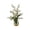 White, variant on Dancing Lady Orchid Liquid Illusion Silk Flower Arrangement, White