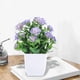 thumbnail image 5 of Escritorios de Oficina en el Hogar Plantas Artificiales Pequeñas, Plantas Artificiales, Flores de Interior, Decoración Del Hogar, Baño, Cocina, Decoración de Escritorio de Oficina Escritorios Pequeños, 5 of 6