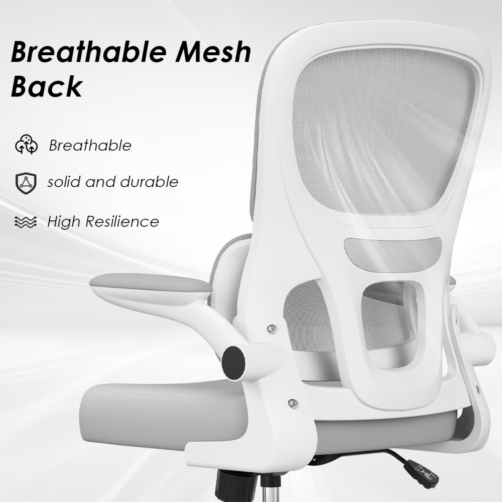 Pawverly Ergonomic Mesh Office Chair with Adjustable Lumbar Support, Flip-up Arms, Swivel Task Computer Desk Chair with Wheels, Comfy Home Office Chair, Black+White