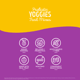 Nature's Garden Probiotic Yoggies Trail Mix Snack Packs 24oz (1oz x 24 ...